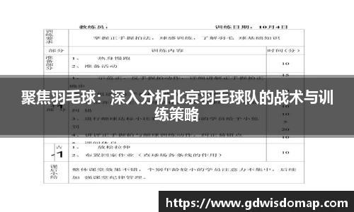 聚焦羽毛球：深入分析北京羽毛球队的战术与训练策略